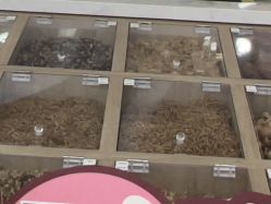 -奈尔宝·国风主题儿童乐园·亲子餐厅(豫园商城店)