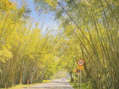 -红山村