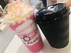 -飞行喵MR PILOT|猫舍·猫咖(静安大融城店)