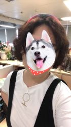 点击看大图 -MY HAIR ARDOR