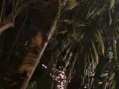 -青城道汤池