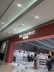 -THE COLORIST调色师