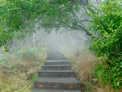 -白草畔自然风景区