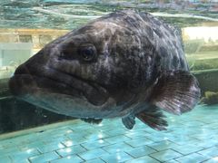 -渔民新村(番禺总店)