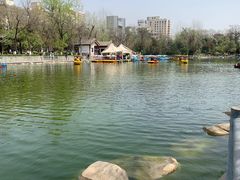 -莲湖公园