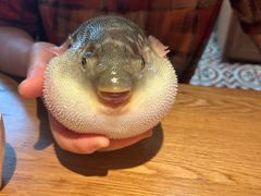 -永安鱼庄·镇江菜(丁卯店)