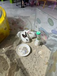 点击看大图 -万升儿童王国(万辉店)