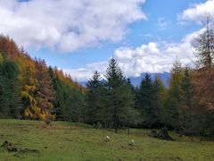 -硗碛藏寨·神木垒景区