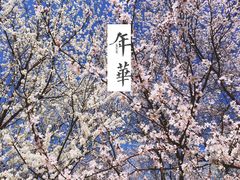 -东北大学(南湖校区)