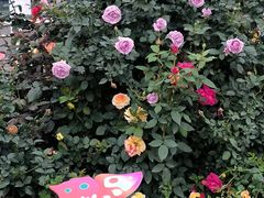 -天河体育中心
