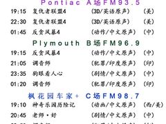 -枫花园汽车电影院(朝阳公园店)