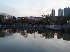 -绿岛公园(滨海新区)