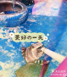 点击看大图 -萌宠亲子动物乐园(槐房万达店)