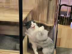 -满悠悠惜食(万豪国际公寓店)