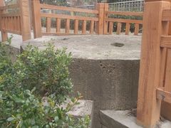 -上海市青苹果幼儿园(欧泊园)