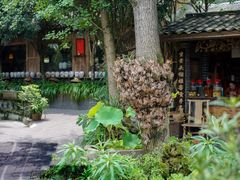 -青城甲(青城山店)