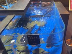 -炊江南·上海菜(国展华漕店)