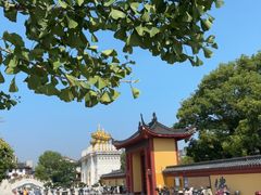 -上海东林寺(金山区)