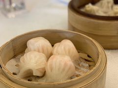 悦湖玉液虾饺皇-悦湖公馆