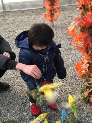 点击看大图 -萌宠亲子动物乐园(槐房万达店)