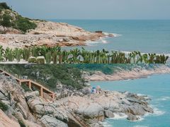 -广东惠东海龟国家级自然保护区