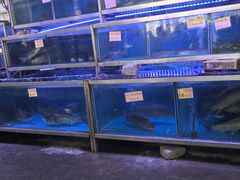 -八仔大富楼·河鲜(西江店)