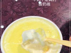 -德禄酸奶(莫家街店)