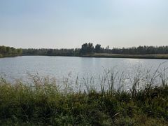 -东郊湿地公园