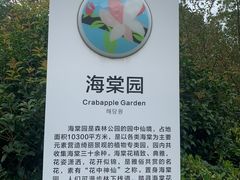 -昆山城市生态森林公园