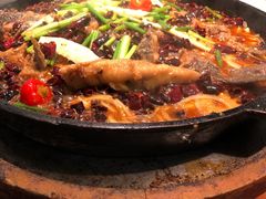-老板恋上鱼(振华商厦店)