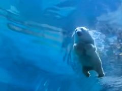 -华夏文旅西安度假区