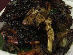 -纽顿熟食中心