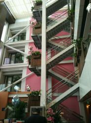 -知爱母婴专护全套房月子会所(新华路店)