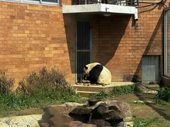 -苏州太湖国家湿地公园