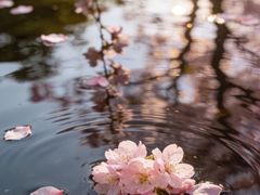 -龙湖杭州滨江天街