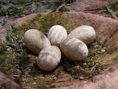 -湖南省地质博物馆