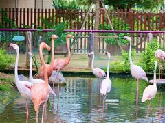 -灵玲国际马戏城