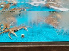-艳阳天·非遗楚菜(武汉客厅店)