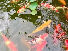 -濮园 · 四合院餐厅