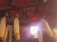 -鱼窝棚柴火铁锅炖(富山屯店)