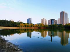 -黄兴公园