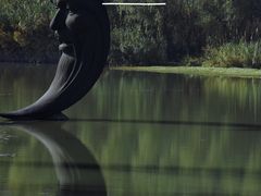 -昆山城市生态森林公园