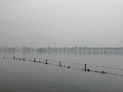 -西湖游船