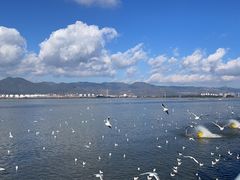-海埂大坝