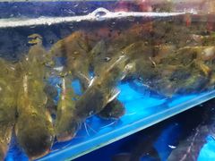-京客隆超市(京源店)