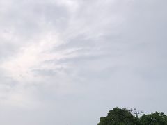 -大湾区中央湿地公园