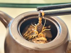 -黄埔华苑酒家(黄埔店)