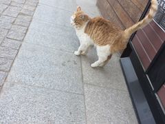 -荣盛康旅野三坡滑雪场