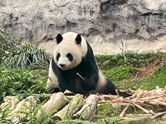 -石排湾郊野公园