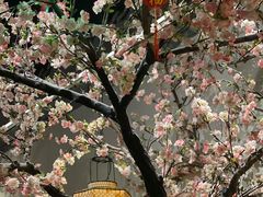 -绿茶餐厅(千岛湖银泰城店)